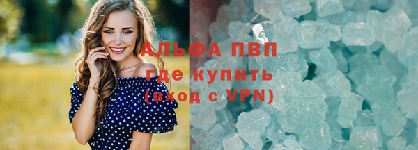 винт Дмитров