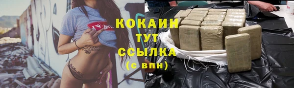 винт Дмитров