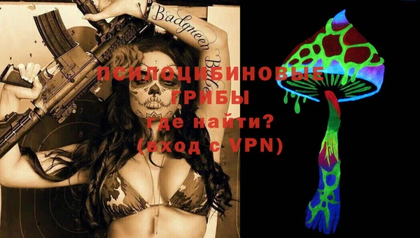 винт Дмитров