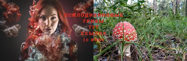 соль курить ск Дмитриев