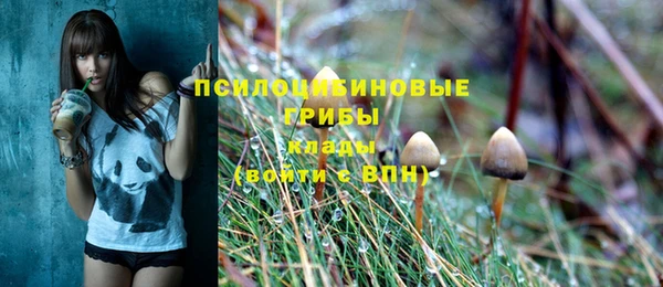 винт Дмитров