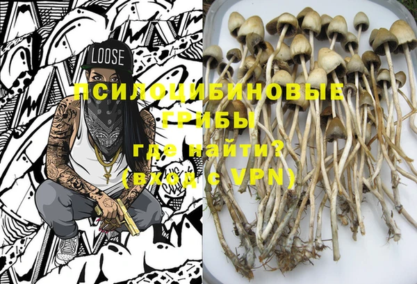винт Дмитров