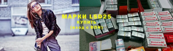 винт Дмитров