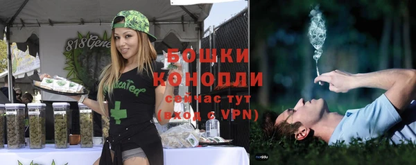 винт Дмитров