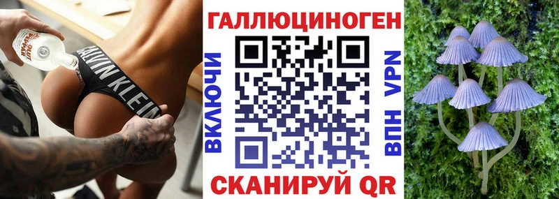 Псилоцибиновые грибы Psilocybe  Мезень 